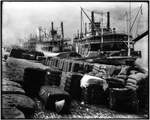 Mississippi River front wharf, Memphis, 190-. PI/COL/1982.0058, sysid 104354 (MDAH Collection)